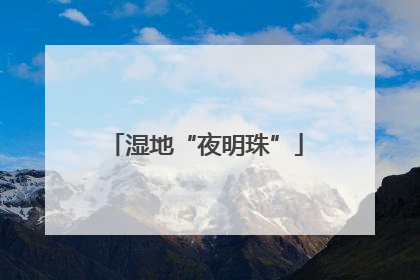 湿地“夜明珠”