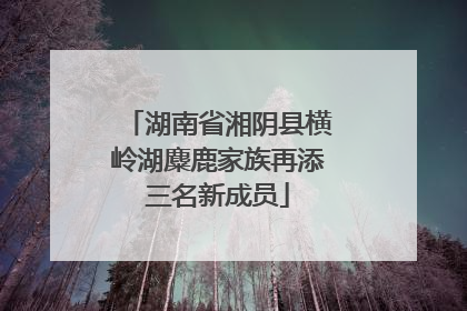 湖南省湘阴县横岭湖麋鹿家族再添三名新成员