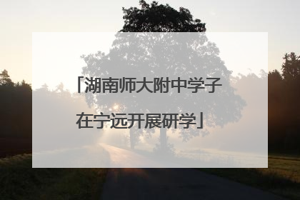 湖南师大附中学子在宁远开展研学
