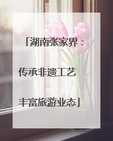 湖南张家界：传承非遗工艺 丰富旅游业态