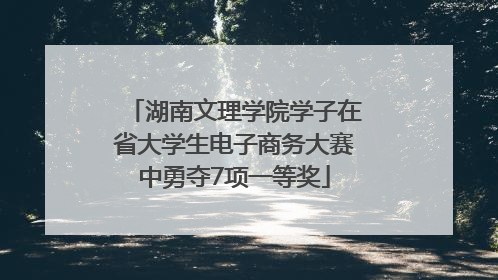 湖南文理学院学子在省大学生电子商务大赛中勇夺7项一等奖