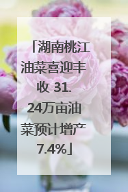 湖南桃江油菜喜迎丰收 31.24万亩油菜预计增产7.4%