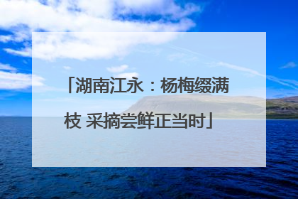 湖南江永：杨梅缀满枝 采摘尝鲜正当时