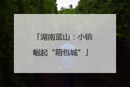 湖南蓝山：小镇崛起“箱包城”