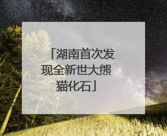 湖南首次发现全新世大熊猫化石