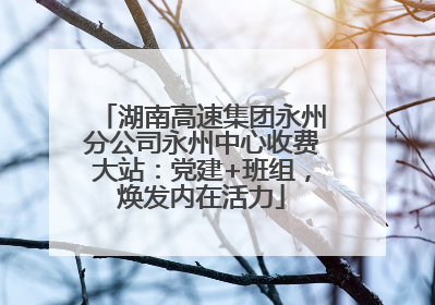 湖南高速集团永州分公司永州中心收费大站：党建+班组，焕发内在活力
