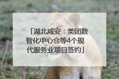 湖北咸安：美团数智化中心仓等4个现代服务业项目签约