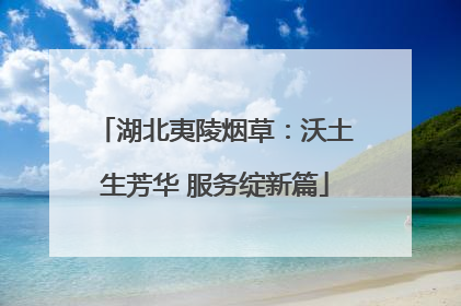 湖北夷陵烟草：沃土生芳华 服务绽新篇