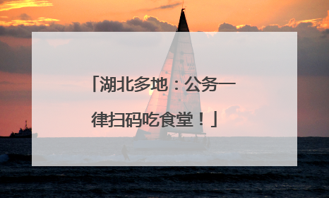 湖北多地：公务一律扫码吃食堂！