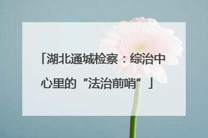 湖北通城检察：综治中心里的“法治前哨”