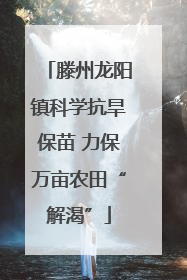 滕州龙阳镇科学抗旱保苗 力保万亩农田“解渴”