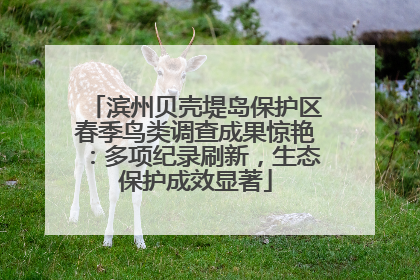 滨州贝壳堤岛保护区春季鸟类调查成果惊艳：多项纪录刷新，生态保护成效显著