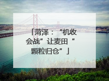 菏泽：“机收会战”让麦田“颗粒归仓”