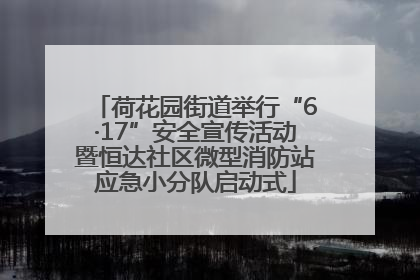 荷花园街道举行“6·17”安全宣传活动暨恒达社区微型消防站应急小分队启动式