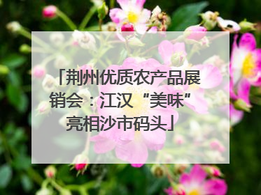 荆州优质农产品展销会：江汉“美味”亮相沙市码头