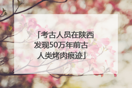 考古人员在陕西发现50万年前古人类烤肉痕迹