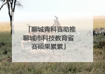 聊城青科赛助推聊城市科技教育省赛硕果累累