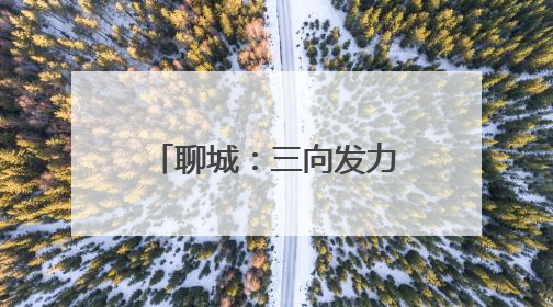 聊城：三向发力 “兴聊号”直通车精准输送医疗资源直达基层