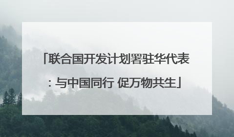 联合国开发计划署驻华代表：与中国同行 促万物共生