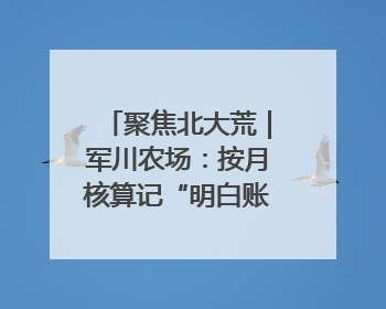 聚焦北大荒｜军川农场：按月核算记“明白账”精打细算“过紧日子”