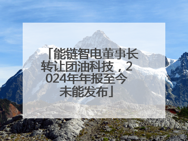 能链智电董事长转让团油科技，2024年年报至今未能发布