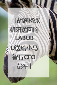 胡润将张朝阳送回的LABUBU送给小马智行CEO彭军
