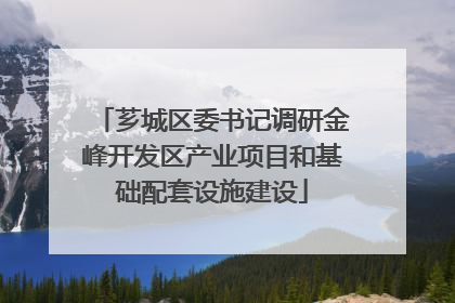 芗城区委书记调研金峰开发区产业项目和基础配套设施建设