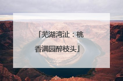 芜湖湾沚：桃香满园醉枝头