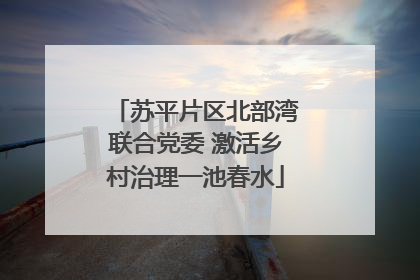 苏平片区北部湾联合党委 激活乡村治理一池春水