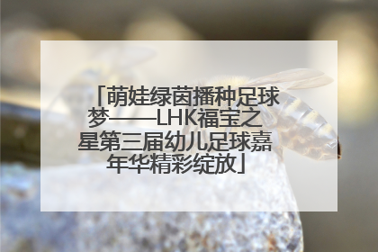 萌娃绿茵播种足球梦——LHK福宝之星第三届幼儿足球嘉年华精彩绽放