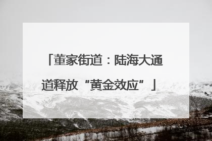 董家街道：陆海大通道释放“黄金效应”