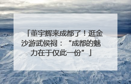 董宇辉来成都了！逛金沙游武侯祠：“成都的魅力在于仅此一份”