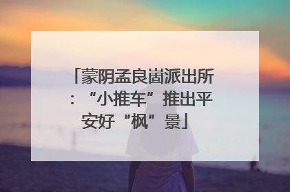 蒙阴孟良崮派出所：“小推车”推出平安好“枫”景