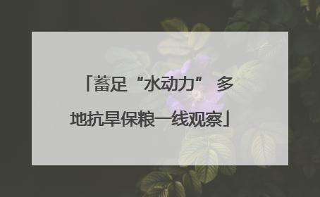 蓄足“水动力” 多地抗旱保粮一线观察