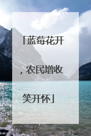 蓝莓花开，农民增收笑开怀