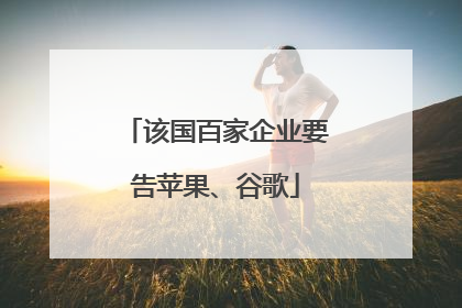 该国百家企业要告苹果、谷歌