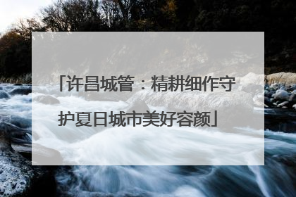 许昌城管：精耕细作守护夏日城市美好容颜