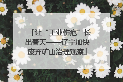 让“工业伤疤”长出春天——辽宁加快废弃矿山治理观察