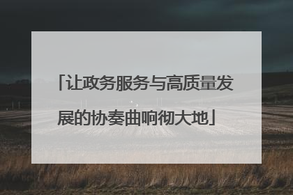 让政务服务与高质量发展的协奏曲响彻大地