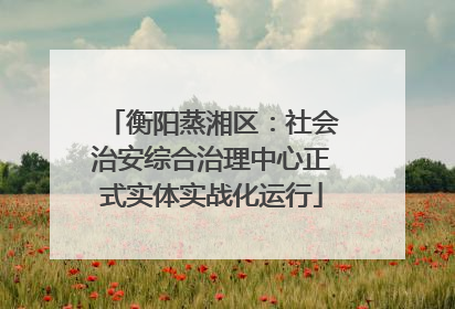 衡阳蒸湘区：社会治安综合治理中心正式实体实战化运行