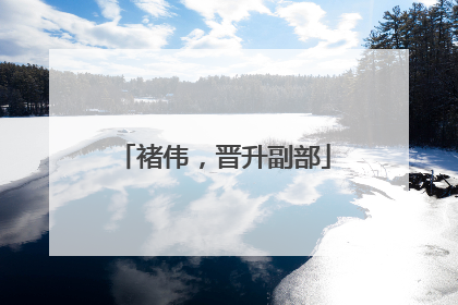褚伟，晋升副部