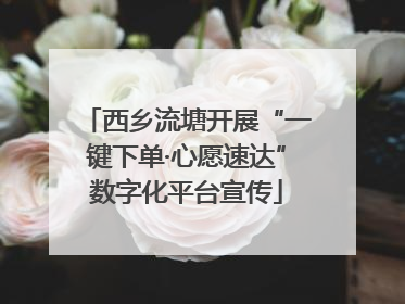 西乡流塘开展“一键下单·心愿速达”数字化平台宣传
