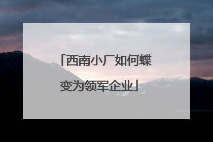 西南小厂如何蝶变为领军企业