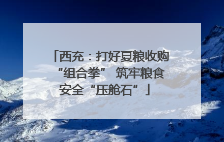 西充：打好夏粮收购“组合拳” 筑牢粮食安全“压舱石”