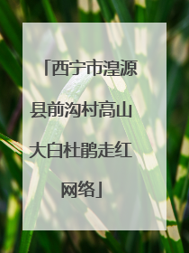 西宁市湟源县前沟村高山大白杜鹃走红网络
