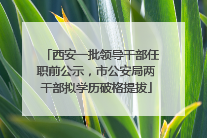 西安一批领导干部任职前公示，市公安局两干部拟学历破格提拔
