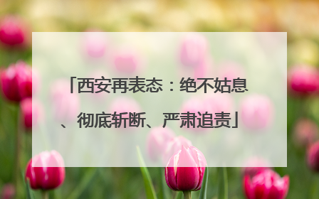 西安再表态：绝不姑息、彻底斩断、严肃追责