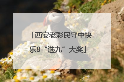 西安老彩民守中快乐8“选九”大奖