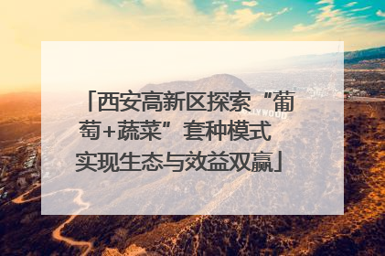 西安高新区探索“葡萄+蔬菜”套种模式 实现生态与效益双赢