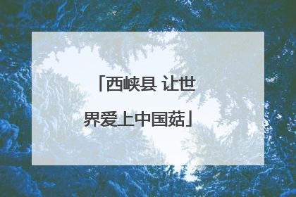 西峡县 让世界爱上中国菇